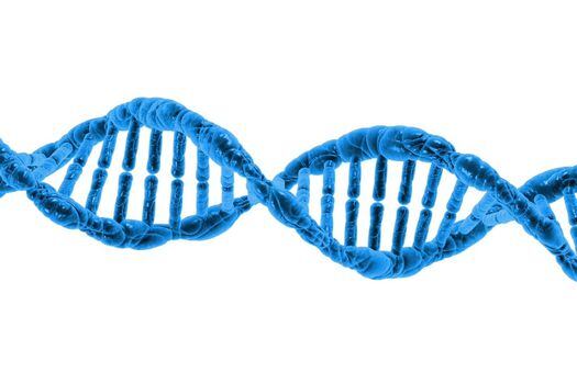 Cada gen humano tiene al menos de 15 a 20 formas únicas de proteínas procesadas y, dado que el cuerpo humano tiene unos 20.000 genes, nuestro organismo contiene millones de ellas creadas por variación, modificación o empalme genético.