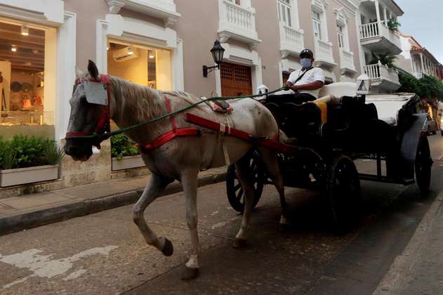 Por no cumplir la norma: 25 coches cocheros tienen prohibido circular en Cartagena