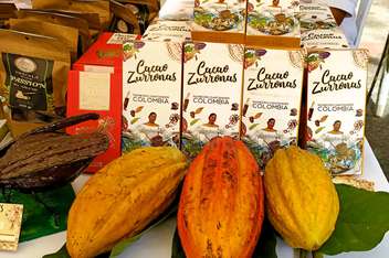 Un reconocimiento a las cacaoteras de Rionegro, Santander