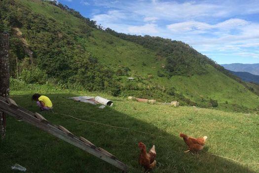La vereda Orejón, en el norte de Antioquia, es el territorio donde comienza hoy el plan piloto del desminado. / Cortesía