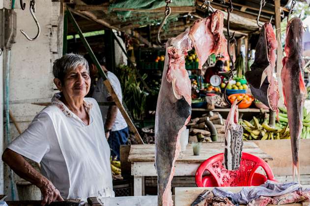 ¿Qué pasa con la pesca en el Amazonas?