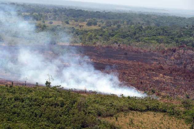 Congresistas denuncian violación a DDHH en operación contra deforestación en La Macarena