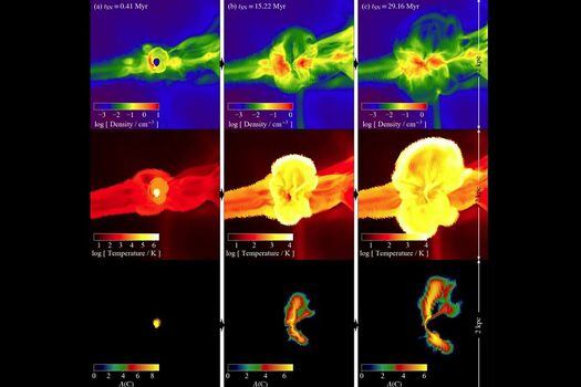 Secuencia de densidad, temperatura y abundancia de carbono para un modelo progenitor estelar. 