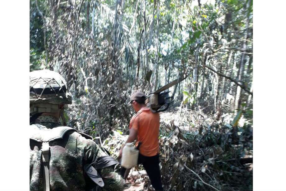 5 personas han sido capturadas por delitos ambientales en las últimas dos semanas en Guaviare. / MADS