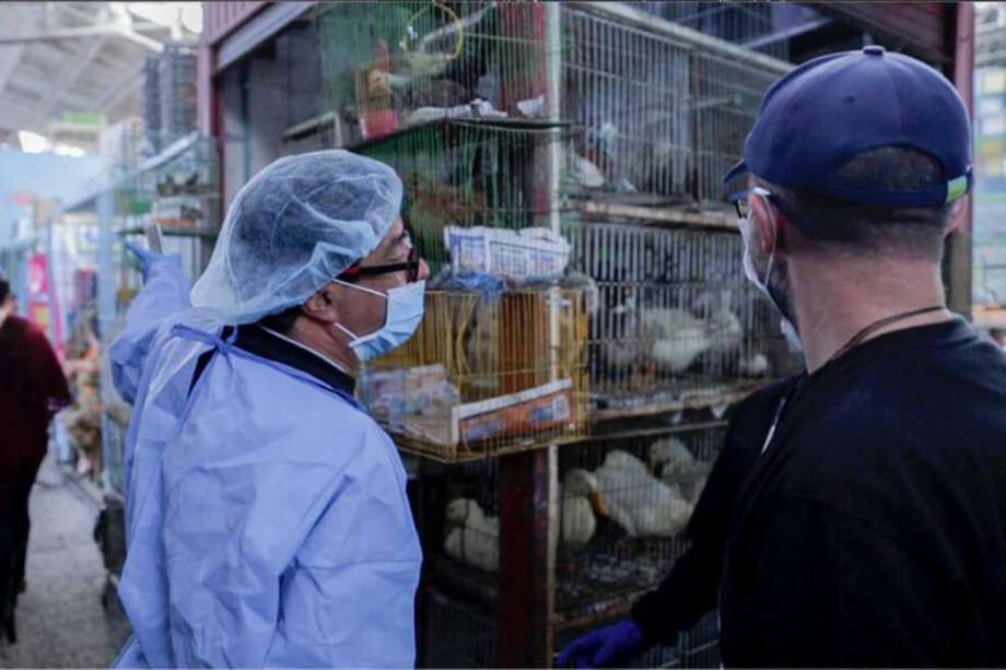 La clave para futuras pandemias: una sola salud humana, animal y ambiental