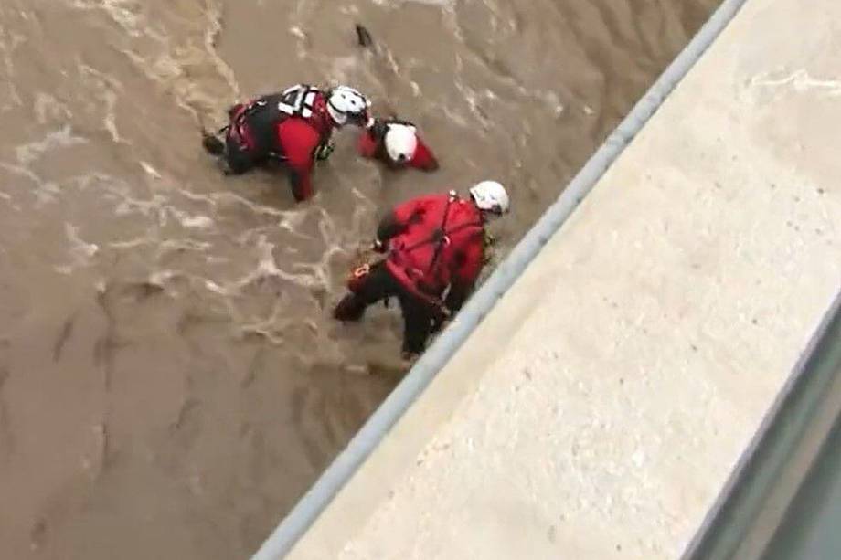 Los bomberos de Los Ángeles en acción, rescatando al perro.