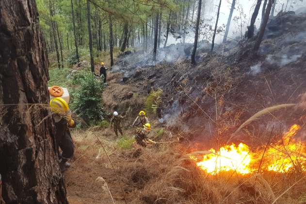Incendio en el cerro Quitasol ha consumido más de 70 hectáreas en Antioquia