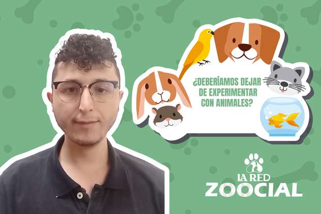 (VIDEO) ¿Deberíamos dejar de experimentar con animales?