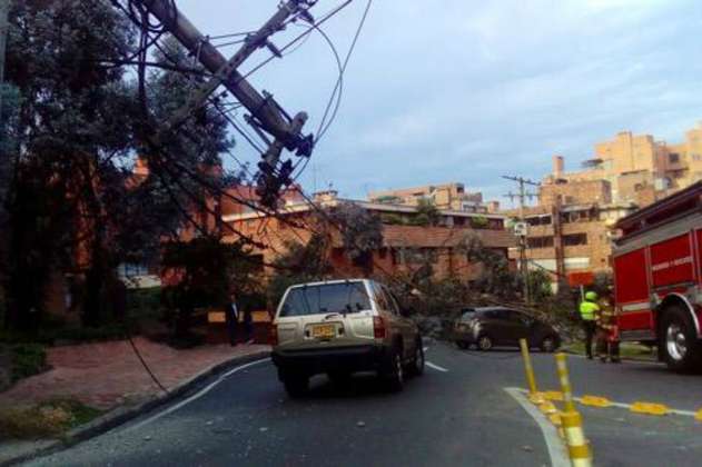 Cuatro personas quedaron atrapadas en sus vehículos, tras caída de un árbol en Bogotá