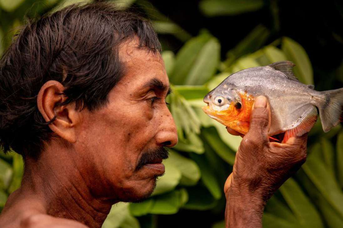 Cerca del 50% de especies que están en Guainía tienen un valor pesquero ornamental o de consumo; así, este departamento es la principal fuente de peces ornamentales que Colombia exporta a nivel mundial.
