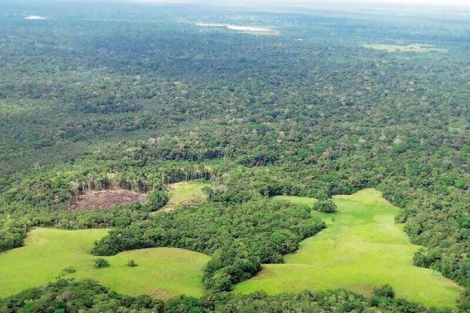 La frontera agropecuaria en Colombia sigue expandiéndose sobre los bosques amazónicos.