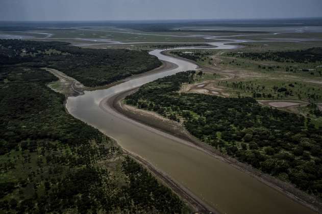 La Amazonia podría llegar a su punto de no retorno en 2050, ¿se puede evitar?