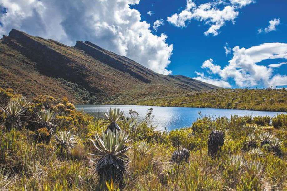 Colombia tiene 3.250 lagos distribuidos en 28 complejos de páramo. El 71 % de ellos está  en áreas con algún tipo de protección.