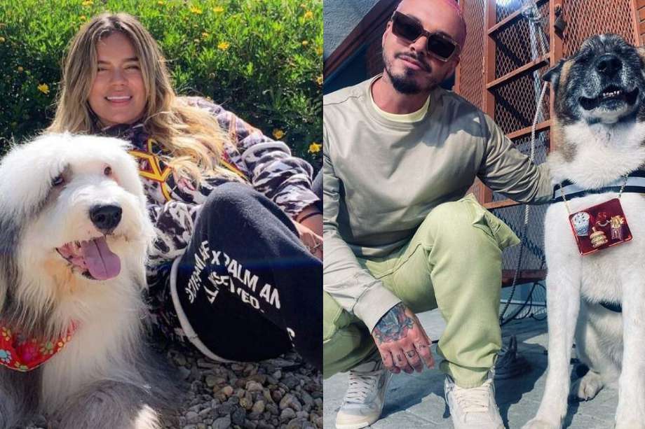 Karol G y J Balvin suelen mostrar a sus mascotas en redes sociales.