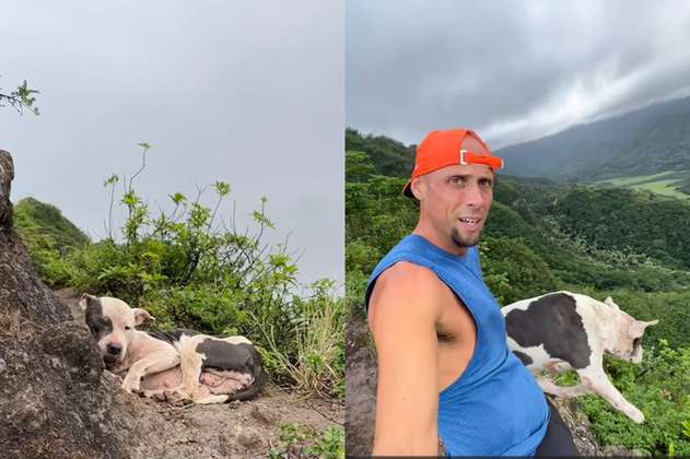 Excursionista salva a perro perdido en uno de los senderos más “peligrosos” de Hawái
