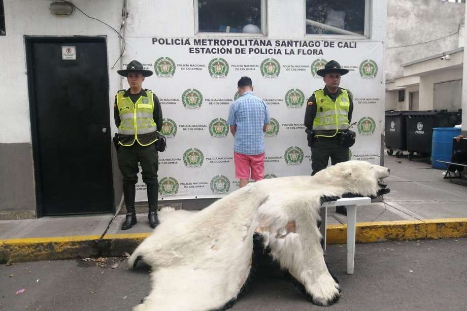 Una persona fue capturada y responderá por el tráfico de fauna.