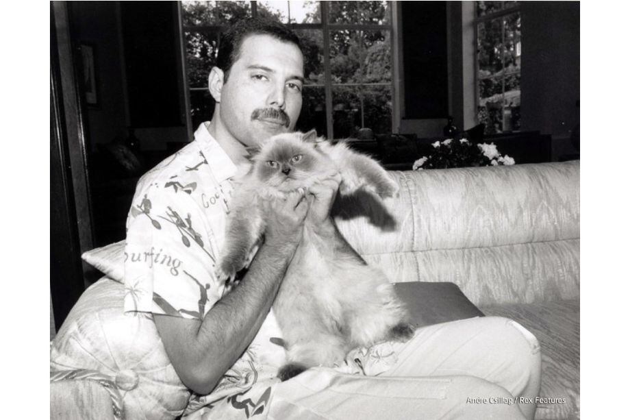 Conoce 9 curiosidades del mítico cantante de Queen, Freddie Mercury.