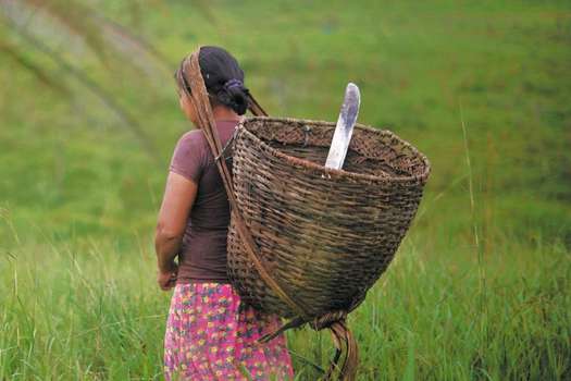 El 48,6 % de los hogares rurales con jefatura femenina vive en condiciones de pobreza monetaria, según el DANE.