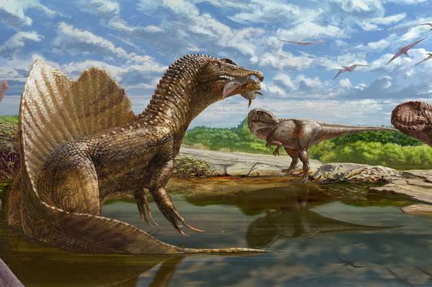 Descubren un nuevo tipo de dinosaurio carnívoro en Egipto