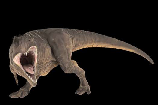 Los Tiranosaurios rex fueron bestias majestuosas que podían llegar a pesar ocho toneladas.  / Pixabay 