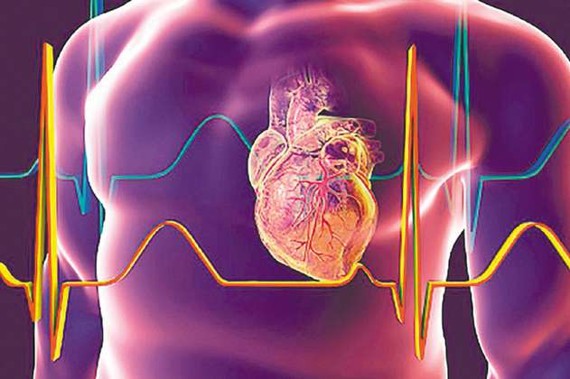 Enfermedades cardiovasculares: ¿Por qué son la principal causa de muerte?
