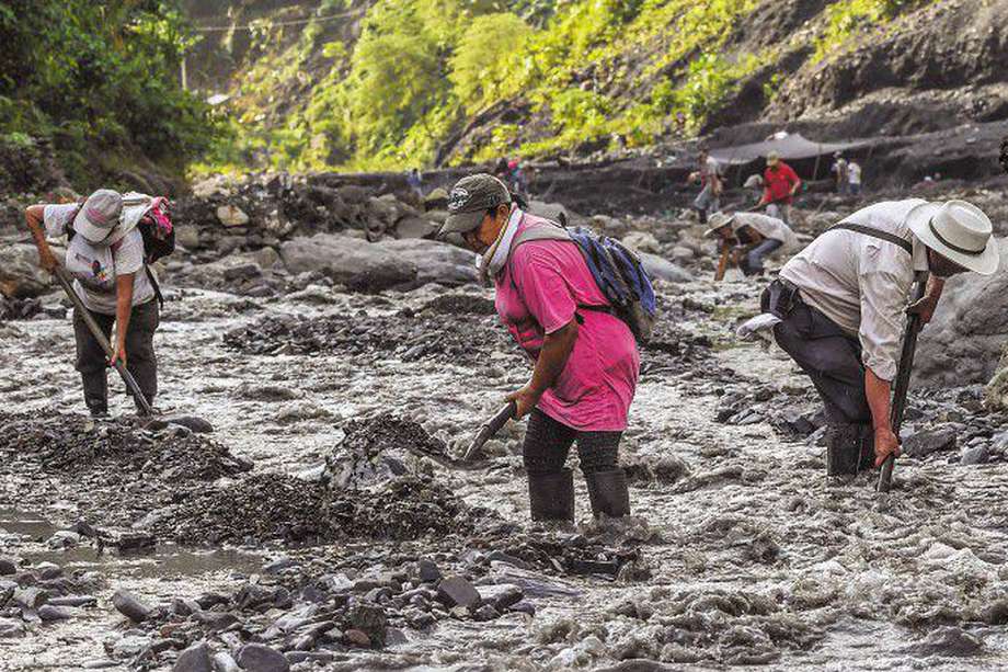 Mineros artesanales buscan restos de esmeraldas en el río Las Ánimas, en el municipio de Muzo, departamento de Boyacá. / AFP