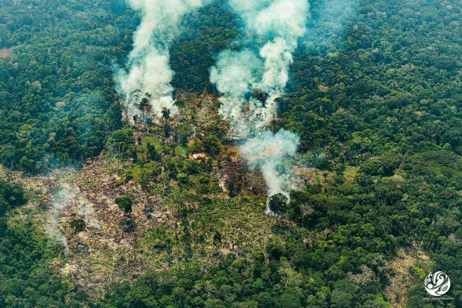 Los expertos indican que los incendios y la deforestación más alta podría empezar a verse en las próximas semanas, una vez el efecto del Fenómeno de la Niña se haya disminuido y el verano empiece con fuerza.