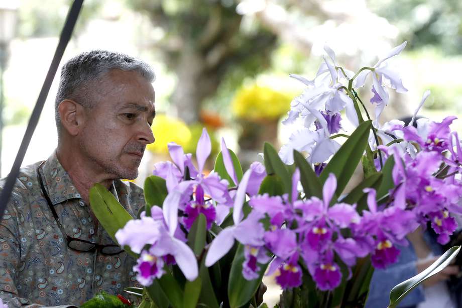 Un hombre observa unas orquídeas durante la exposición "Orquídeas y autos antiguos", el 25 de abril del 2024, en Medellín (Colombia). 