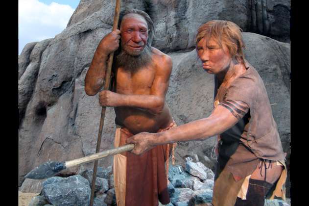 Investigan la dieta de los neandertales a través del sarro de sus dentaduras