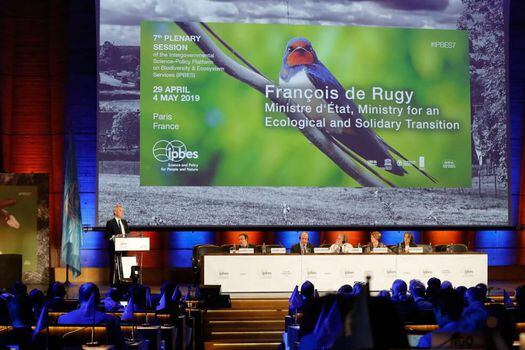 Conferencia sobre biodiversidad en Paris durante la presentación del informe mundial.  / AFP