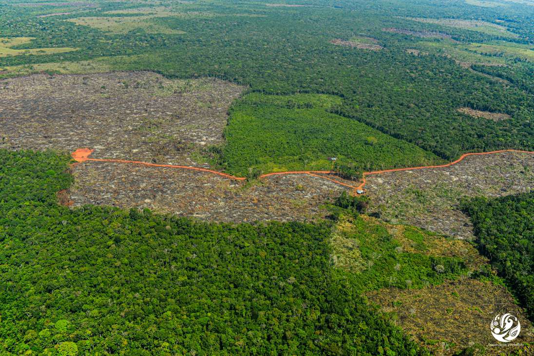 La Fundación Gaia Amazonas estima que en la Amazonía colombiana hay al menos 32.780 kilómetros de carreteras ilegales que se han construido deforestando.