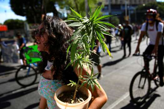Una mujer carga una planta de marihuana durante una marcha en una de las principales avenidas de Ciudad de México (México).