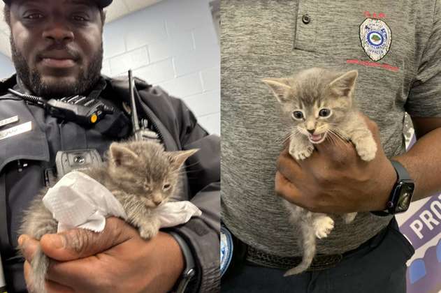 Policía rescató a un gatito de la basura y ahora son mejores amigos