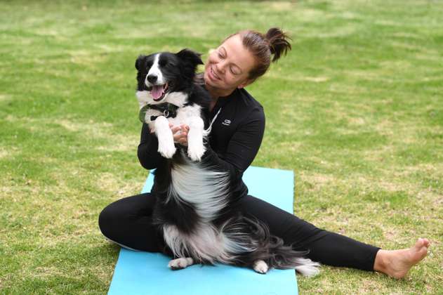 Practique yoga con perritos a su alrededor: estas son las implicaciones
