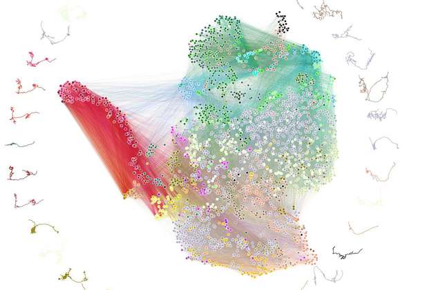 Logran el primer mapa del cerebro de un insecto y de sus conexiones neuronales