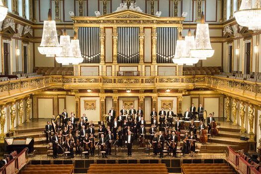 Con la dirección de Martin Haselböck, destacado organista y fundador de la Orchester Wiener Akademie, agrupación que lo acompaña en esta interpretación, el público puede disfrutar de este concierto que tiene como solista invitado al pianofortista austriaco Gottlieb Wallisch.