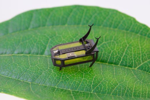 El dispositivo con forma de escarabajo mide apenas 15 milímetros de largo, lo que lo convierte en uno de los más ligeros y pequeños robots autónomos jamás creados.