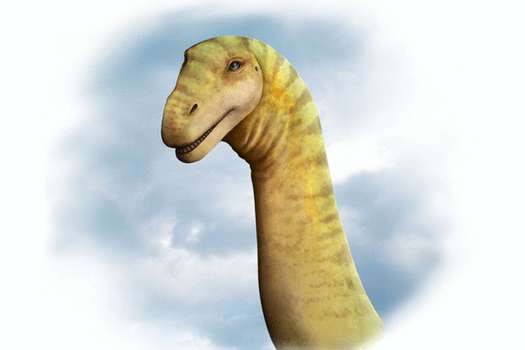 Este saurópodo vivió en Australia hace 100 millones de años.