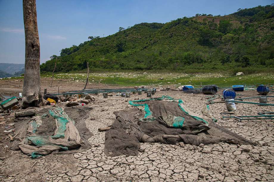 La sequía y la ola de calor en México han cobrado la vida de 112 personas.  EFE/Carlos López
