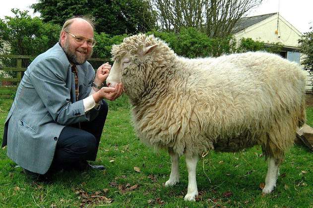 Se cumplen 26 años del nacimiento de la oveja Dolly, primer mamífero clonado