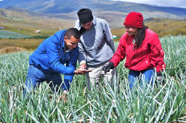 Sistemas Agroalimentarios: un camino hacia el desarrollo sostenible en Latinoamérica