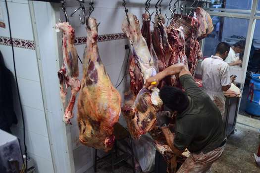 Imagen de referencia.
Se decomisaron tres toneladas de carne en mal estado y 37 porcinos y 8 equinos.