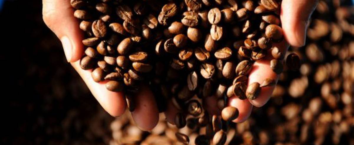 Diez mitos y verdades del café