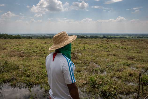 Desarrollo: las dos visiones detrás de la tormenta por las tierras en el Cauca