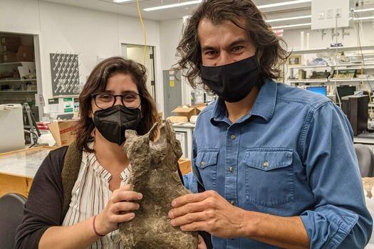 Los paleontólogos Mónica Carvalho y Jeffrey Wilson Mantilla con la vértebra del "Perijasaurus".