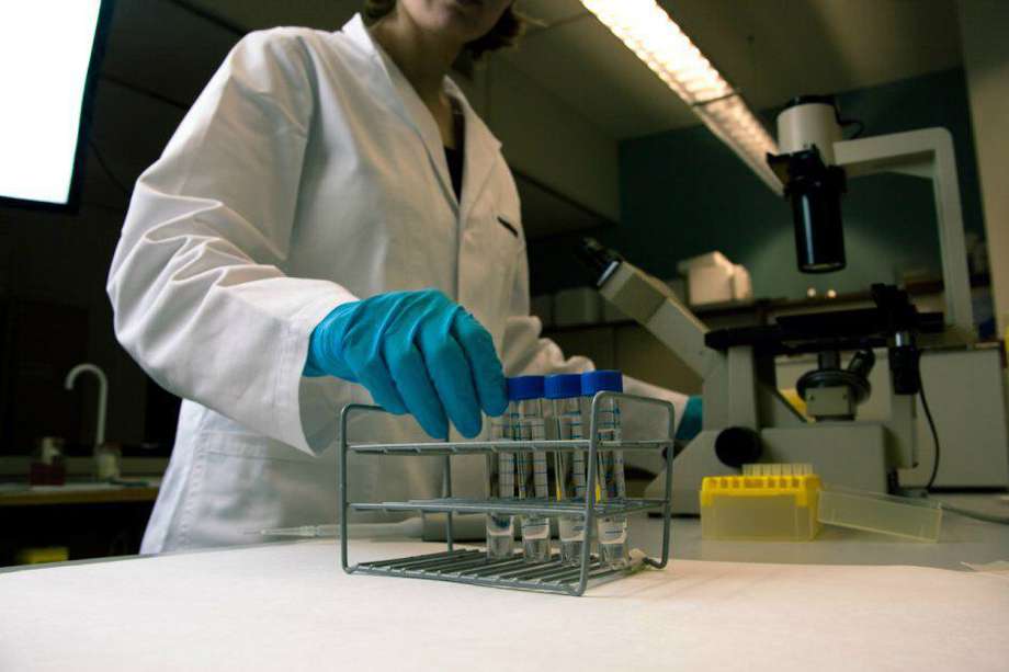 Científicos insertaron gen relacionado a la resistencia contra el VIH en los embriones   / Eelke-Flickr 