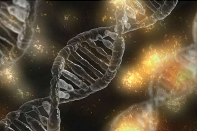 La mutación de las gemelas chinas modificadas genéticamente aumenta la mortalidad