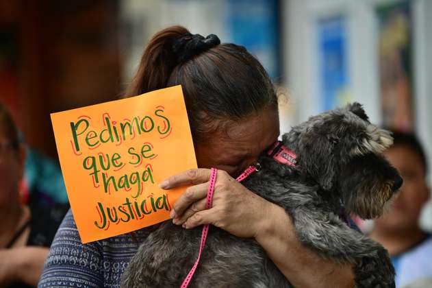 Bogotá: denuncian que hombre mató a la perrita de su pareja en un ataque de celos