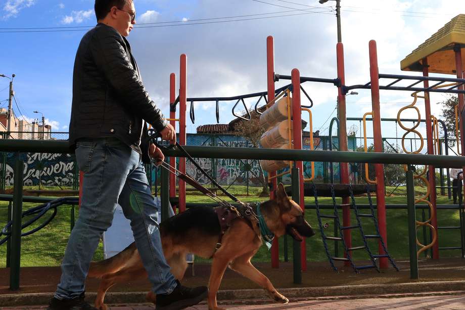 Andrés Jaramillo camina junto a Arya, su perra guía.