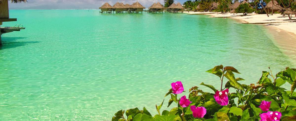 Bora Bora, ¡el sueño de la naturaleza y la gastronomía! 